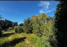 Şüvəlanda 30 sot torpaq satılır