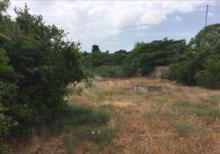 Mərdəkanda 30 sot torpaq satılır