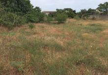 Mərdəkanda 30 sot torpaq satılır