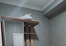 60 m2  2 otaqlı tam təmirli mənzil kirayə verilir