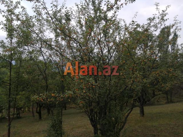 Püstəqasım kəndində torpaq