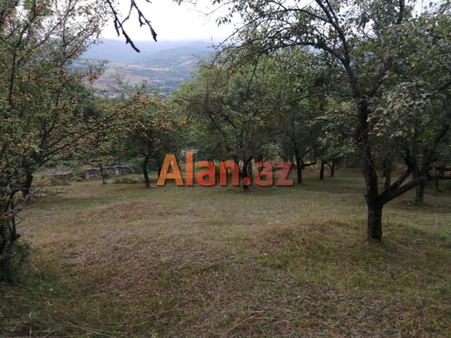 Püstəqasım kəndində torpaq