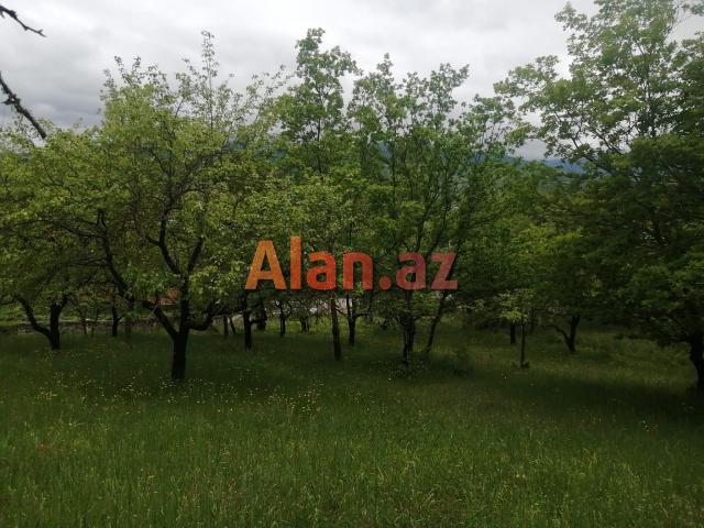 Püstəqasım kəndində torpaq