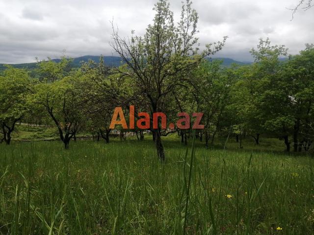 Püstəqasım kəndində torpaq