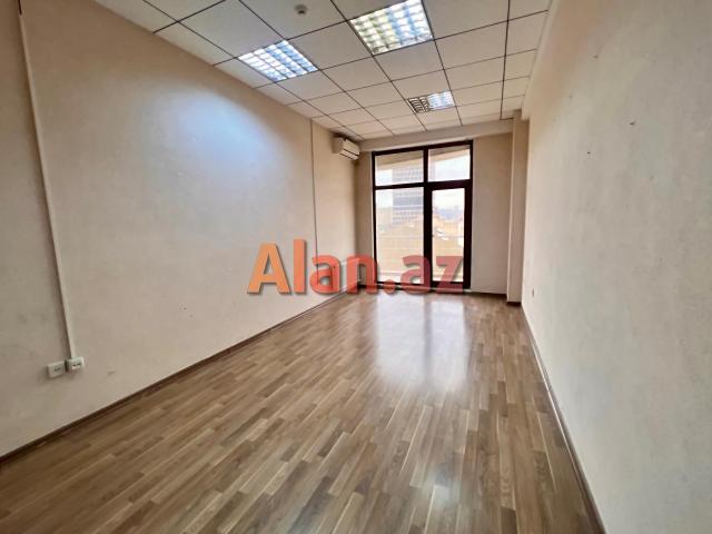 AF Business House İcarəyə Ofis