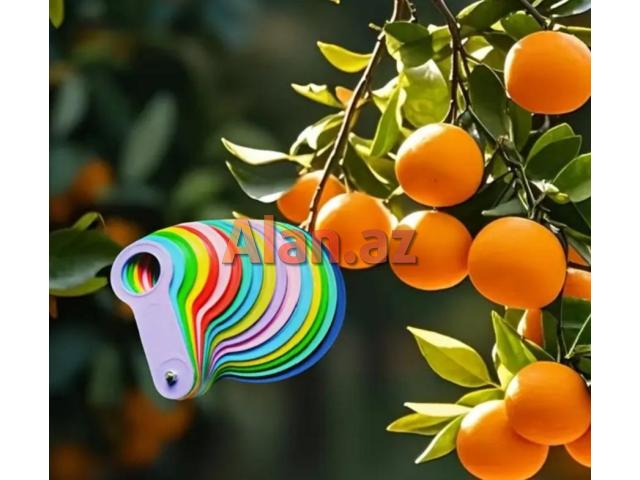 Meyvə qreyderi 30-110 mm