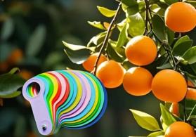 Meyvə qreyderi 30-110 mm