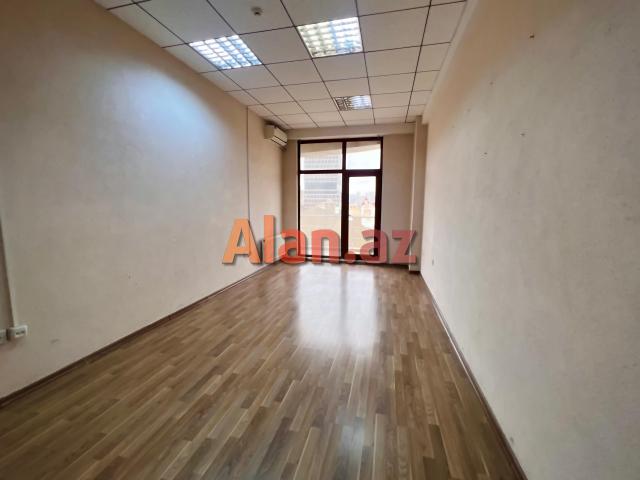 AF Business House İcarəyə Ofis