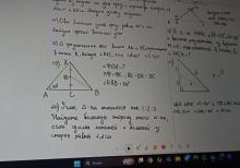 Riyaziyyat Rus sektoru