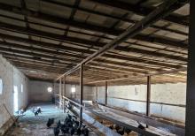 Fermer təsərrüfatı satılır.