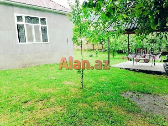 Qəbələdə Kirayə Ev Günlük