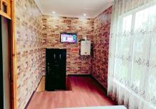 Qəbələdə Kirayə Ev Günlük