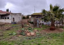 Təcili Buzovnada 15 sot torpaq sahəsi satılır