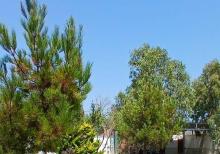 MƏRDƏKAN YOLUNDA 6 OTAQLI BAĞ EVİ SATILIR