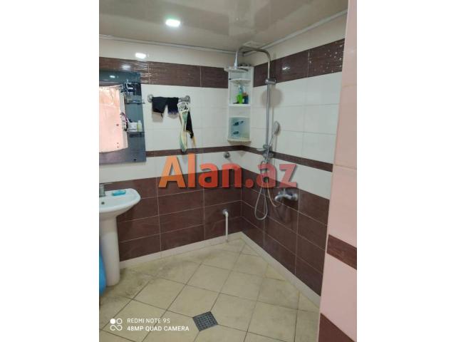 Metro Insatcilar  Ats arxasi