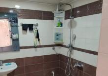 Metro Insatcilar  Ats arxasi