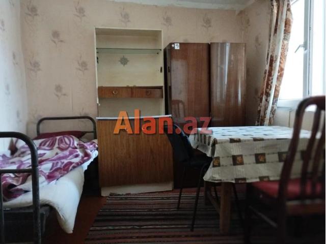 Metro Insatcilar  Ats arxasi