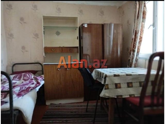 Metro Insatcilar  Ats arxasi