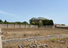 Buzovnada torpaq sahəsi satılır