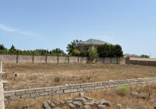 Buzovnada torpaq sahəsi satılır