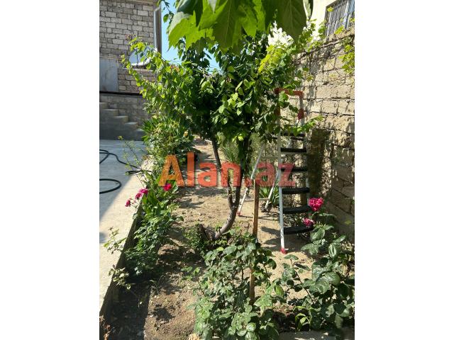 Buzovnada 5 otaqlı həyət evi satılır