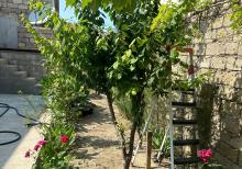 Buzovnada 5 otaqlı həyət evi satılır