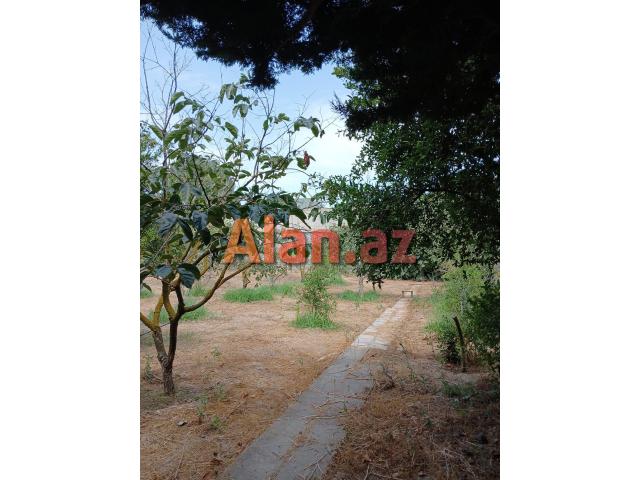 Buzovnada 14 sotda Villa satılır