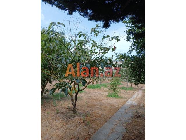 Buzovnada 14 sotda Villa satılır