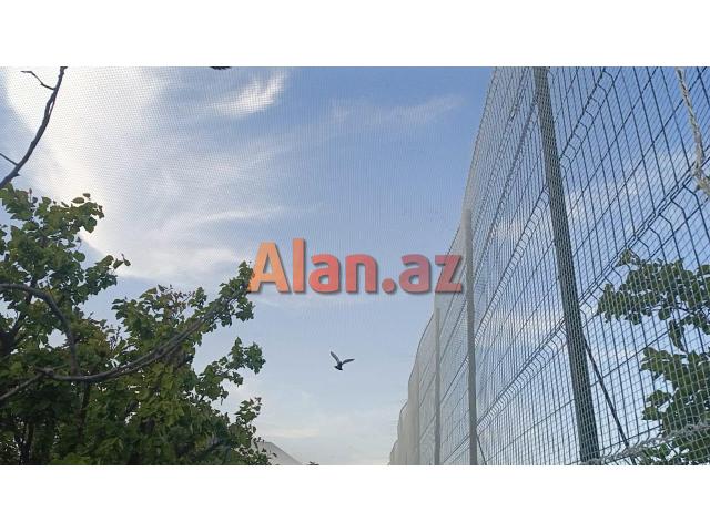 Stadionun tavan toru