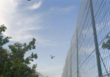 Stadionun tavan toru