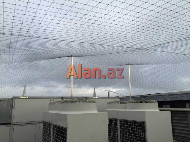 Stadionun tavan toru