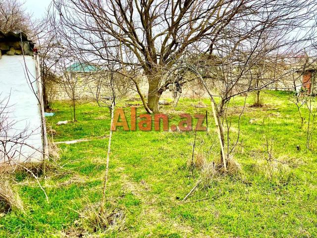 Nardaranda torpağ sahəsi