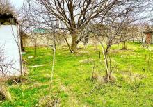 Nardaranda torpağ sahəsi