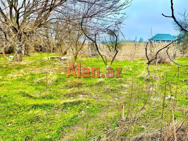 Nardaranda torpağ sahəsi