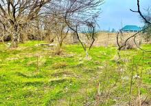 Nardaranda torpağ sahəsi