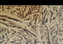 Samsung a14 ehtiyyat hiseai kimi sarıram