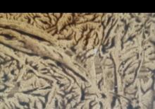 Samsung a14 ehtiyyat hiseai kimi sarıram