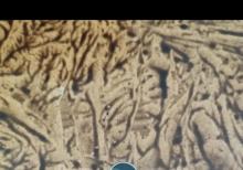 Samsung a14 ehtiyyat hiseai kimi sarıram