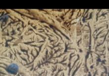 Samsung a14 ehtiyyat hiseai kimi sarıram