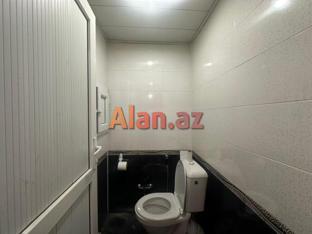 Yeni tikili