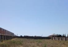 Buzovnada torpaq sahəsi satılır