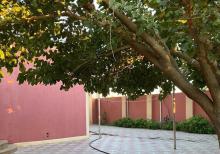 Albalıda həyət evi satılır