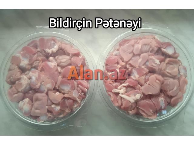 Bildirçin Pətənəyi