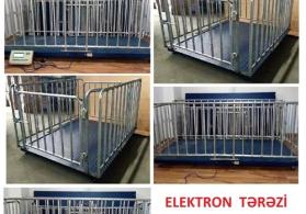 Elektron Tərəzi Qapan
