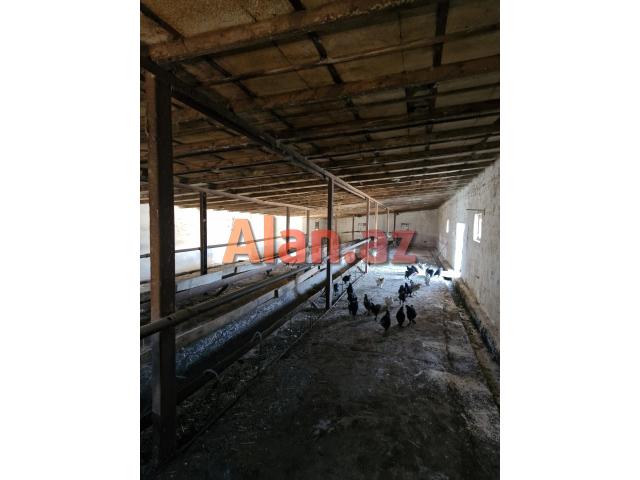 Fermer təsərrüfatı