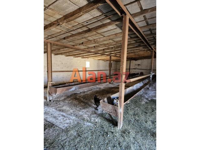 Fermer təsərrüfatı