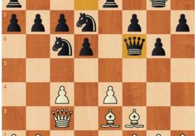 Şahmat kursları böyüklər və uşaqlar üçün