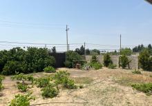 Albalıda bağ evi satılır