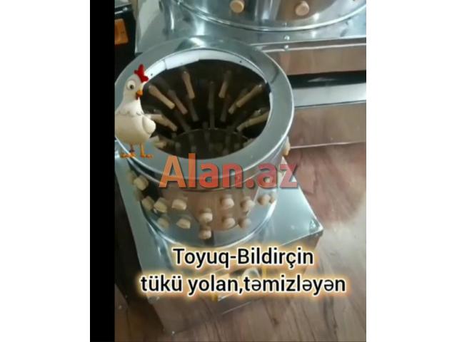 ● TOYUQ. BİLDİRÇİN tükü təmizləyən