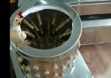 ● TOYUQ. BİLDİRÇİN tükü təmizləyən